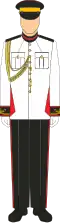 No. 1 Dress of the Malaysian Army officer cadets. This specific uniform design is worn by officer cadets assigned to the Malaysian Army and commissioned from the National Defence University of Malaysia (NDUM).