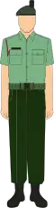 The No. 3A Dress of the Malaysian Army is a variation of the No. 3 Dress, worn only for drill and marching duties. The rifle green beret with a black hackle shown in this image indicates the wearer belongs to the Royal Ranger Regiment.