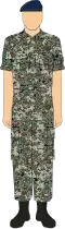 The No. 5 Dress serves as the alternative working dress for army personnel when they are not wearing the No. 3 Dress. This uniform features a camouflage pattern, similar to combat uniforms.