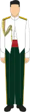The No. 6 Dress, alternatively known as the "Mess Kit", is the formal evening attire of the Malaysian Army. It is worn by personnel from the rank of General down to Warrant Officer Class 1.