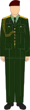 The No. 8 Dress is the generic service dress of the Malaysian Army. This uniform is worn only by Warrant Officer Class 2 and above.
