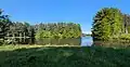Maltby Lake 3