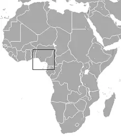 Mamfe Shrew area