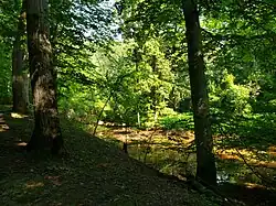 Manalapan Brook as it winds through the eastern part of Thompson Park in Monroe Township