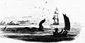 Maned sea serpent from Bishop Erik Pontoppidan's 1755 work Natural History of Norway