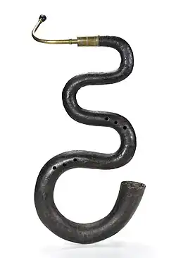 Photograph of a serpent