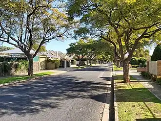 Benjamin St in Manningham, showing the many Jacaranda trees in the area.