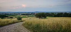 Marginea