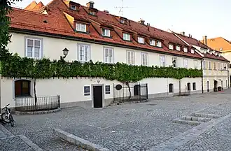 World's oldest vine