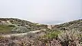 Marine Peninsula Trail path to the ocean