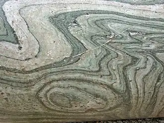 Marble can contain microfossil foraminiferans, coccolithophores, calcareous nannoplankton and algae, ostracodes, pteropods, calpionellids and bryozoa