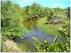 Long Pond River
