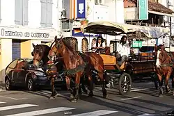 Image 14A carriage on a street in Martinique, one of the Caribbean islands that has not become independent. It is an overseas region of France, and its citizens are full French citizens. (from History of the Caribbean)