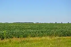 Fields along U.S. Route 52, southwest of Martinton