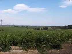 Photo shows the country near Mas Deu.
