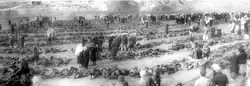 Massacres of Artemivsk 1942: Residents of Artemivsk are trying to identify the remains of their relatives and friends
