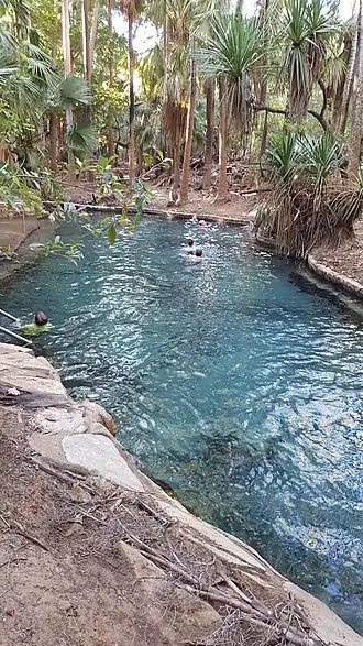 Mataranka Thermal Springs