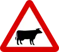 Domestic animals (cattle)