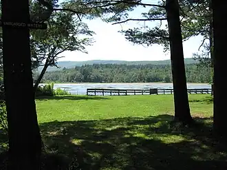 Pond