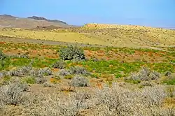 Landscape in Khar Turan National Park