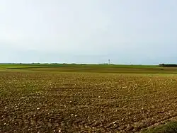 The plain between Mazeuil and Saint-Jean-de-Sauves.