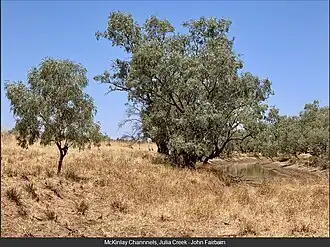 McKinlay channels, Julia Creek, 2020