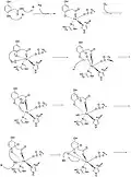 Steps 1-8 of the mechanism
