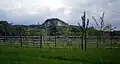 View from Birkig ESE to the Meerberg