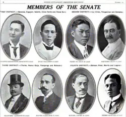 Palma as a Member of the Philippine Senate