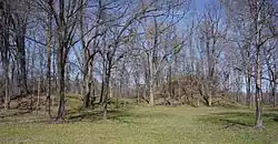 Menard-Hodges Site