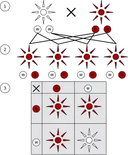 Image 31Mendelian inheritance states characteristics are discrete and are inherited by the parents. This image depicts a monohybrid cross and shows 3 generations: P1 generation (1), F1 generation (2), and F2 generation (3). Each organism inherits two alleles, one from each parent, that make up the genotype. The observed characteristic, the phenotype, is determined by the dominant allele in the genotype. In this monohybrid cross the dominant allele encodes for the colour red and the recessive allele encodes for the colour white. (from History of genetics)