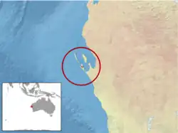 geographic distribution of Menetia amaura