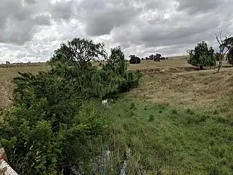 Merrill Creek