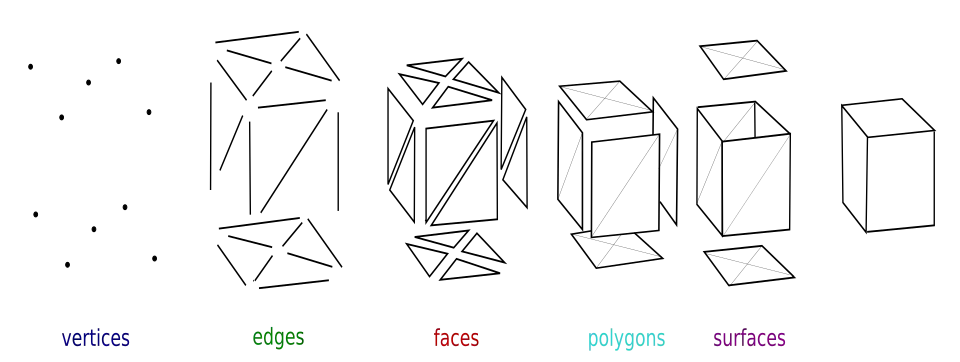 Elements of polygonal mesh modeling.