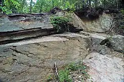 Metcalf Phyllite (Snowbird Group), metamorphosed mudrocks within the Ocoee Supergroup.