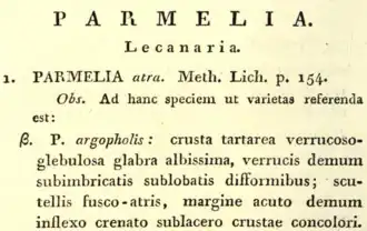 Cropped page image showing the start of the Parmelia section and the entry for β argopholis