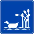 SIT-6: Lake