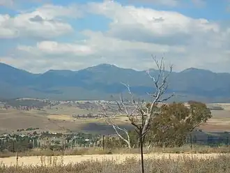 View from Loorungah, Clearview Road 2009