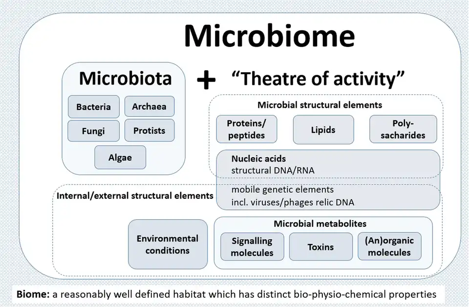 A schematic highlighting the composition of the term microbiome containing both the microbiota (community of microorganisms) and their "theatre of activity" (structural elements, metabolites/signal molecules, and the surrounding environmental conditions)