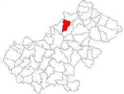 Location in Satu Mare County