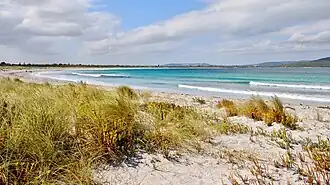 Middleton Beach, 2018