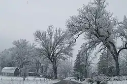 Midpines in winter