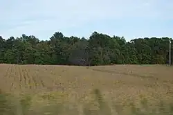 Soybean field along Pennsylvania Route 173