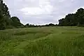 Mill Meadows