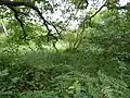 Mill Stream