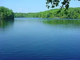 Pond