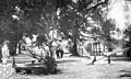 Milneburg Playground in 1912, later a part of NORD
