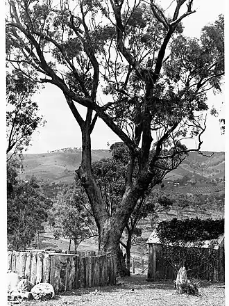 Minda Home property at Craigburn