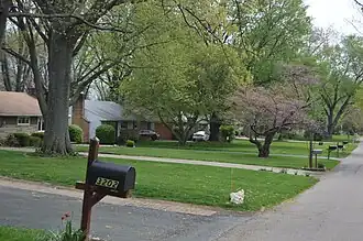 Houses on Minerva Lake Road