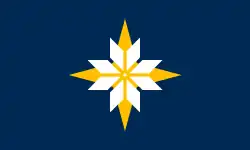 F29 – "Starflake",[48] designed by Brandon Hundt, eliminated on December 13[49][47]